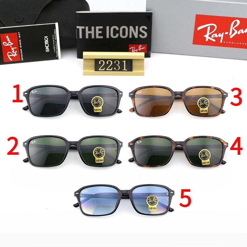 2231  Sunglasses with box